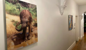 Inspire – Picture Paneel