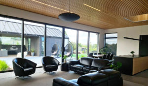 Zwarte Pulsar in huis