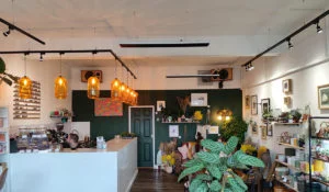 Herschel zwarte Summit in coffeeshop en plantenwinkel