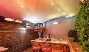 Herschel Manhattan en Miami wit in geheime tuin