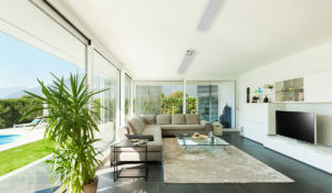 Wit Summit in de serre