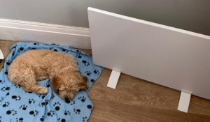 Onder bureauverwarming naast hond