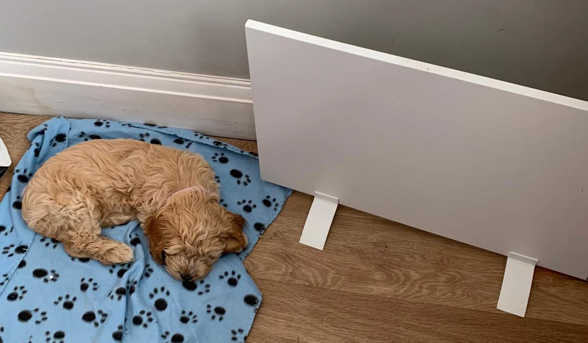 Onder bureauverwarming naast hond