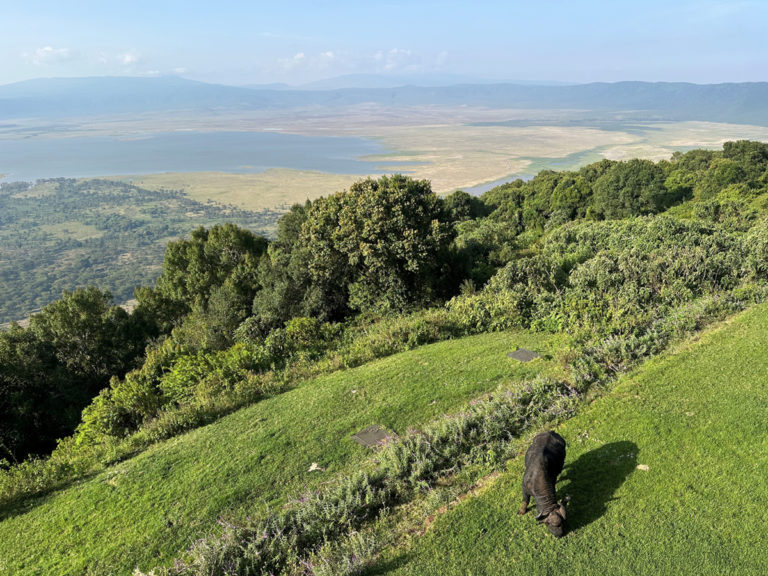 Ngorongoro Lodge Meliá, Tanzania: Duurzame infraroodverwarming voor luxehotels