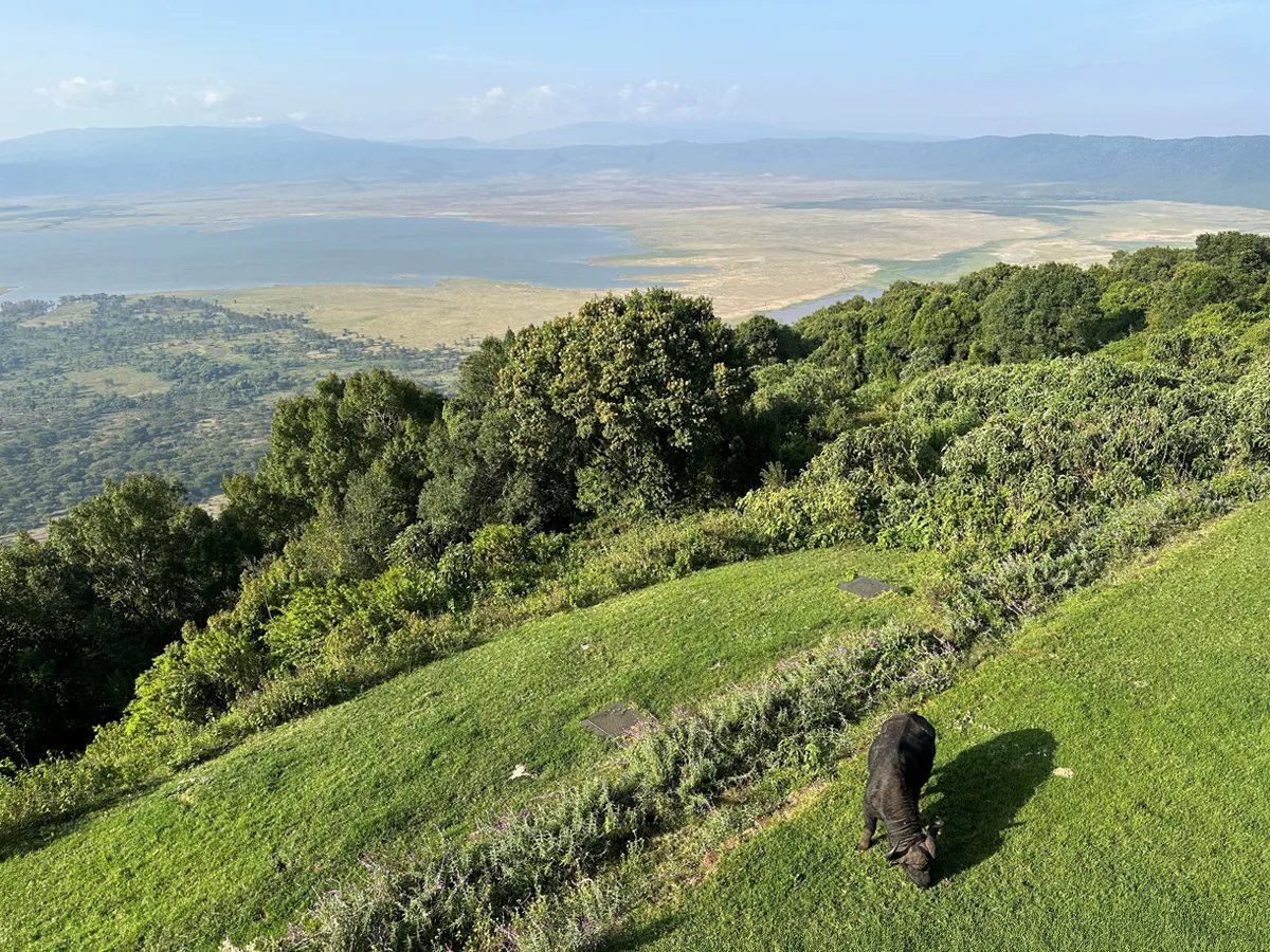 Ngorongoro Melia verwarmd door Herschel Comfort verwarmingspanelen