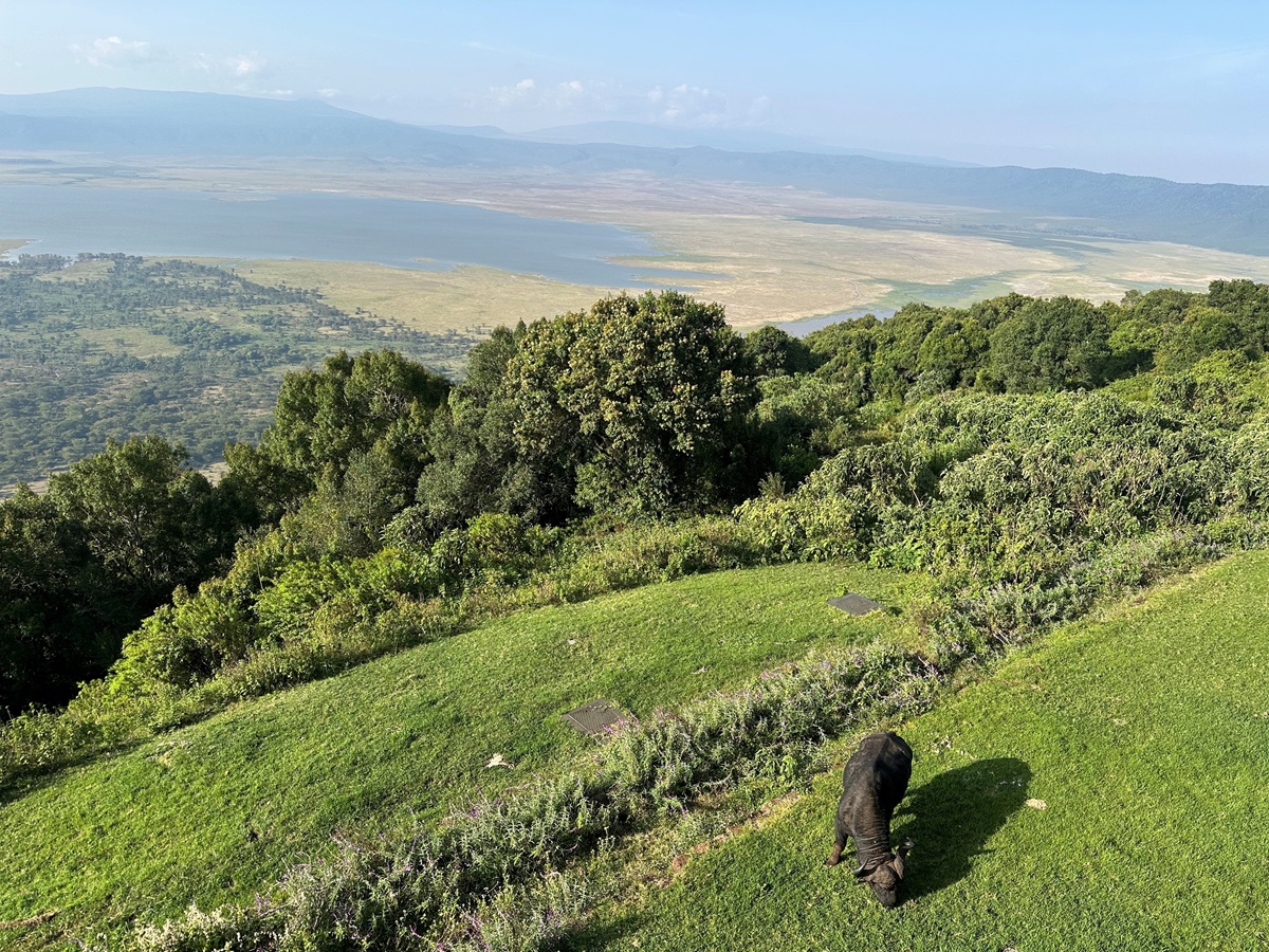 Ngorongoro Melia wordt verwarmd door Herschel Comfort verwarmingspanelen.