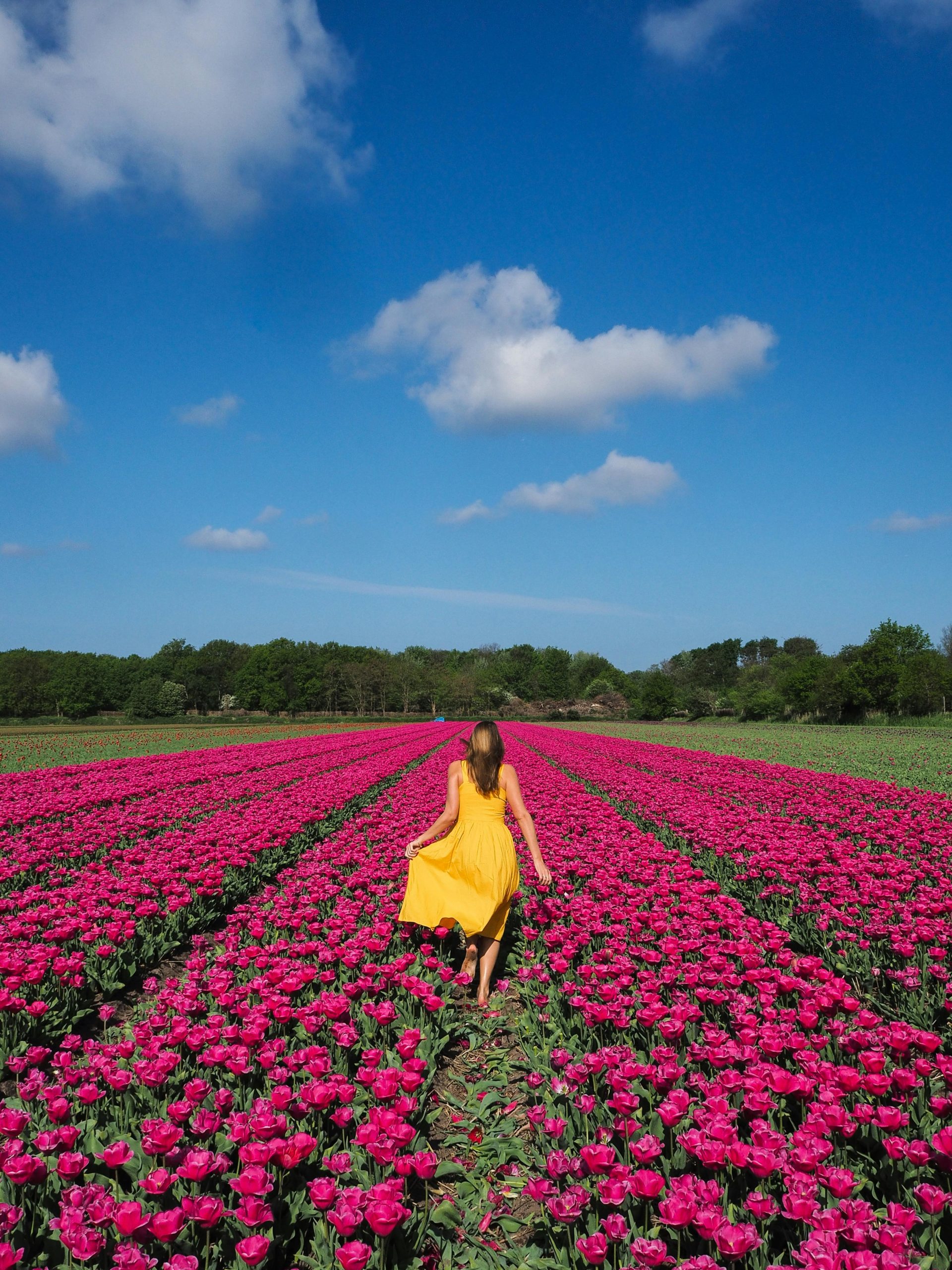 Infrarood en de biologische betekenis ervan